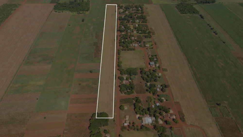 VENDO 3 HECTÁREAS EN COLONIA LA FORTUNA – ¡AHORA A UN NUEVO PRECIO!